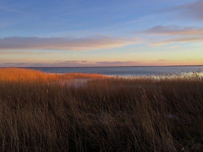 Darss Bodden Sunset